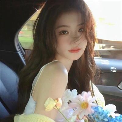 古惑仔情义篇之洪兴十三妹